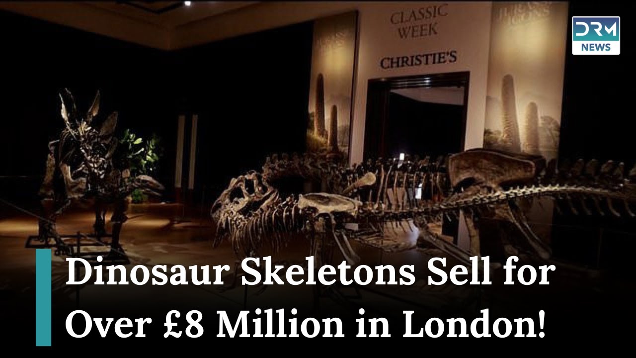 Dinosaur Skeletons Fetch Millions at London Auction: Jurassic Icons | AF1G