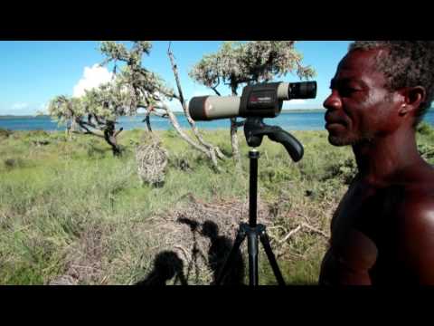 Videó: Élet Madagaszkár Nyugati Részén - Matador Network