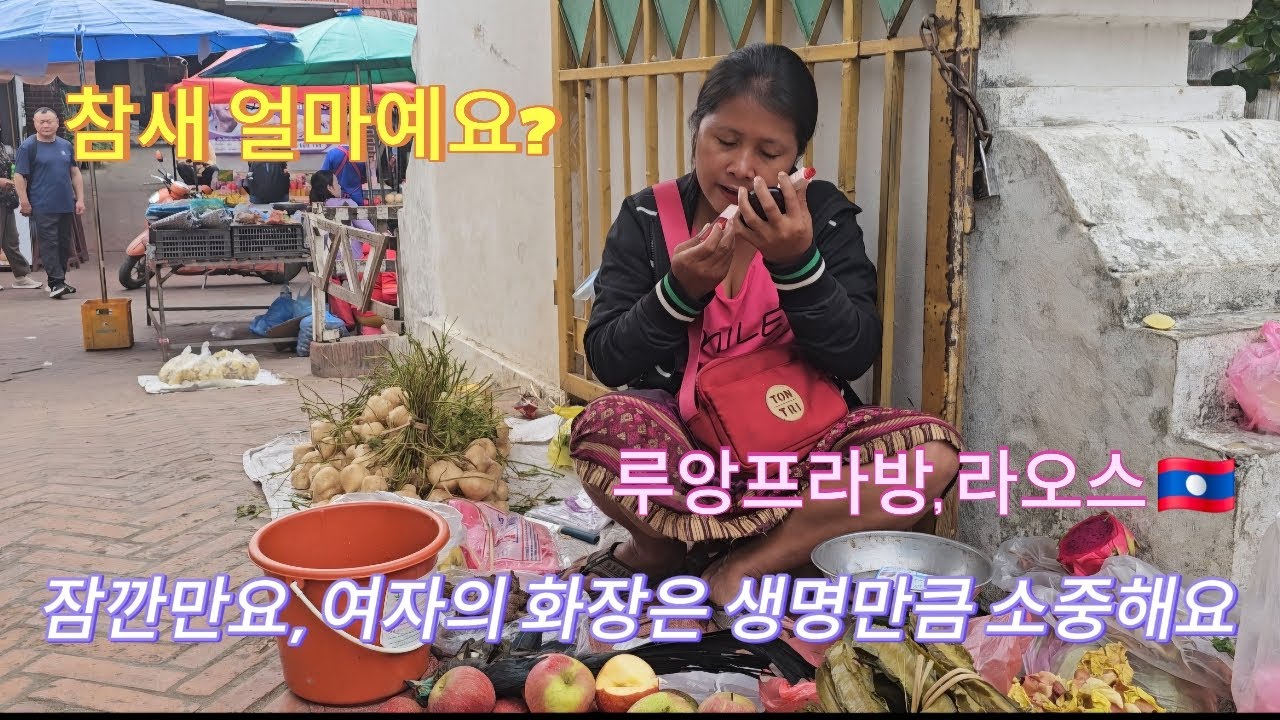 [50대 은퇴 후 나홀로 라오스 🇱🇦 여행ep6] 야시장 보다 더 생동감 있고 재밌는 새벽시장, 일본인 여행객에게 위안부, 독도 문제 설명  🇱🇦 ທ່ອງທ່ຽວຫຼວງພະບາງ