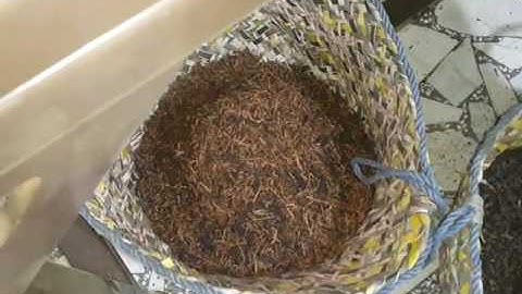 ISORT Color Sorter - TEA   OP (IGSP)