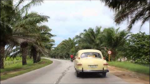 Atomic Swing - Dream On (Official Video)