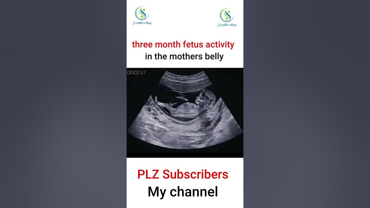 Three month fetus activity in the mothers belly ultrasound pregnant 