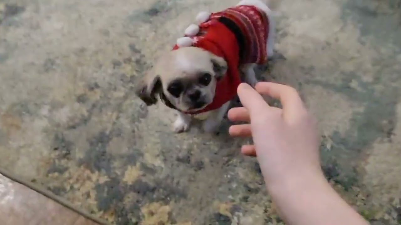 Happy Christmas (2023) - JacerGamer615 2022 Archives #4