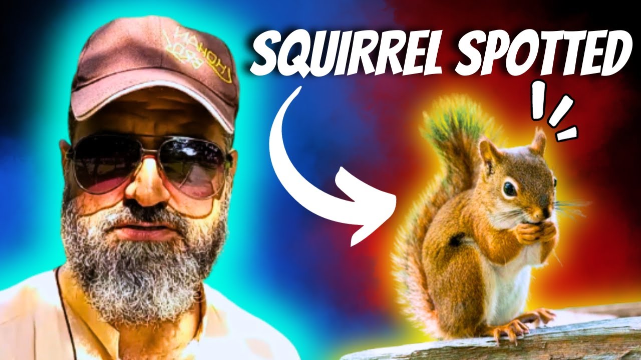 Adorable Squirrel Nature's Beauty Squirrel CloseUp Park Wildlife