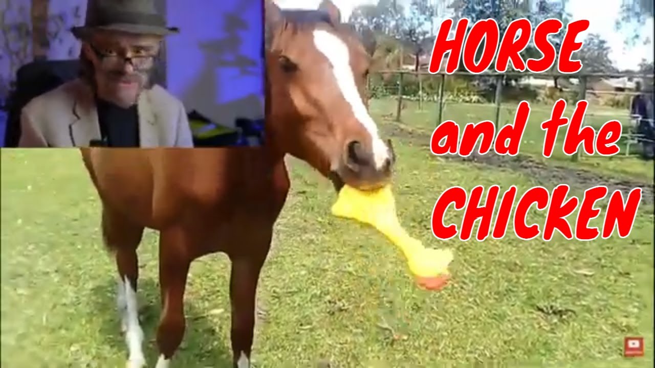 WHEN A GOOD DAY GOES BAD.  PART ONE