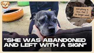 Lola Lou Gets Adopted After Being Abandoned | Dog's Trust Rescue Dog