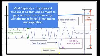 Edexcel GCSE PE - Lung Volumes