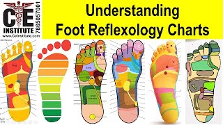 Understanding Foot Reflexology Charts: Generally Accepted Reflex Points