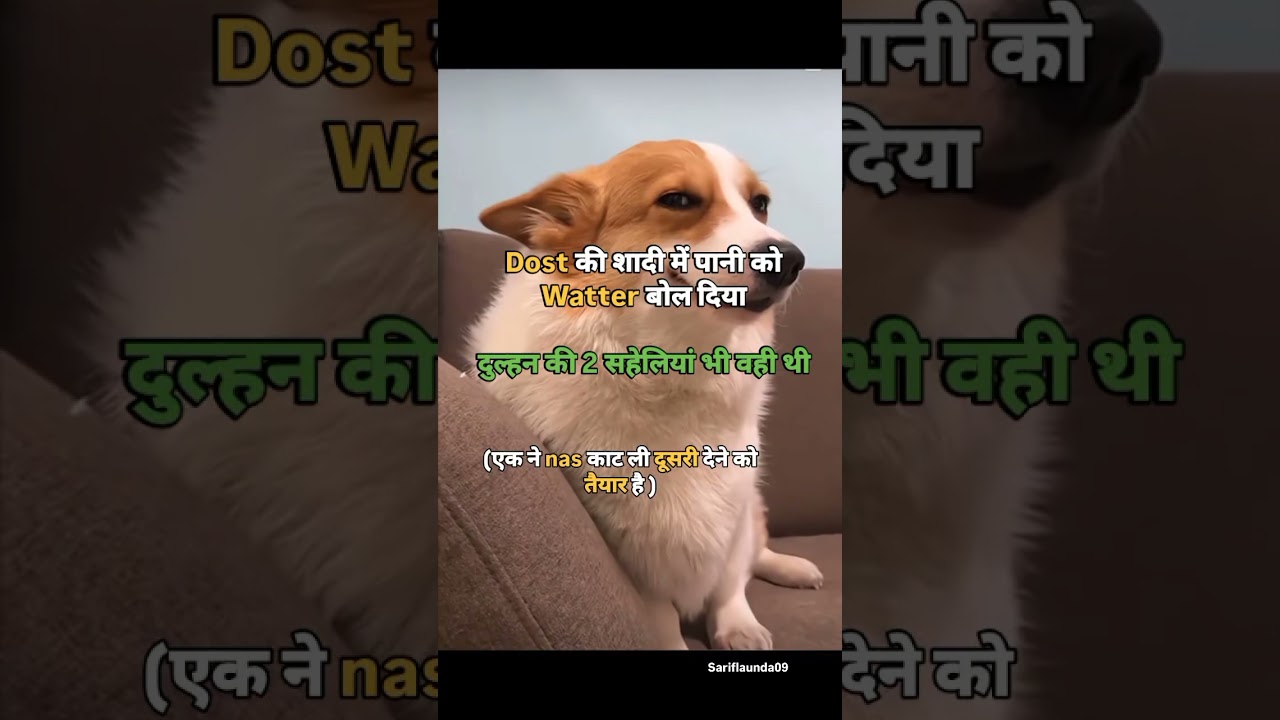 Itna smart kyu hu yrr 😎🥲 