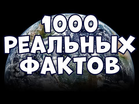 Видео: 1000 РЕАЛЬНЫХ ФАКТОВ, КОТОРЫЕ ВАС ПОРАЗЯТ