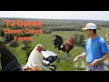 TJ DUREE Clover Creek Farms  (PART 1)