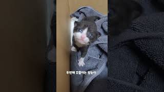 3일만에 눈 다 떴어요