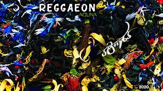 Reggaeon - შადიანი Shadiani