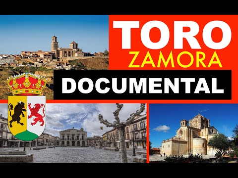 TORO ZAMORA 4K documentary. city, Spain, Spain.