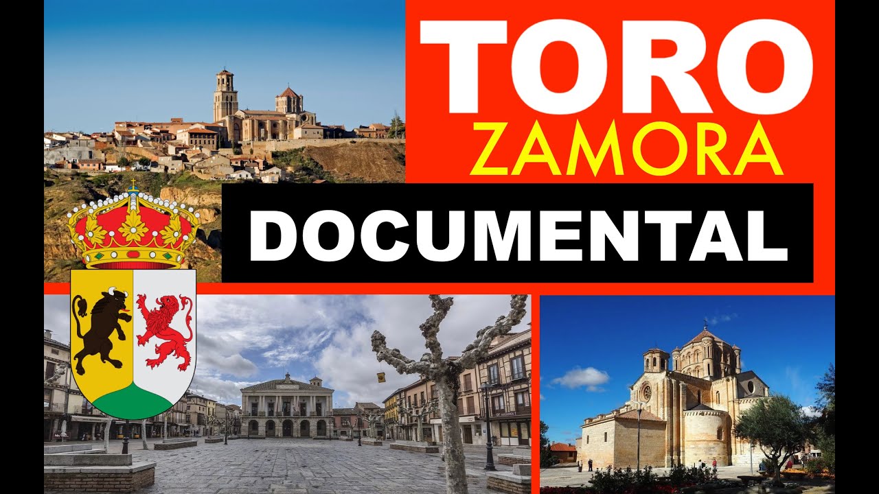 TORO ZAMORA documental 4K. ciudad, España, Spain.