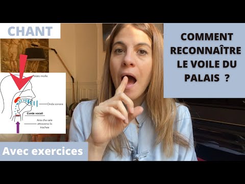 Vidéo: Qu'est-ce qu'un bon palais ?