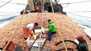 Everyone should watch this Fishermen's video - Catch Hundreds Tons Shrimp With Modern Big Boat