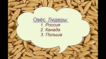 Овёс: мировое производство, экспорт, импорт