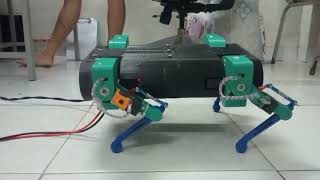 Quadruped Robot | Sim-to-Real: Resting Postures