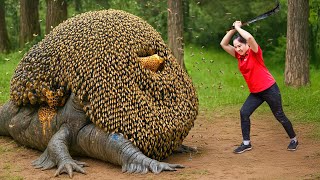 Peaceful Slow Living  Top 5 Best S Of Harvesting Big Pythons And Selling Them At The Market