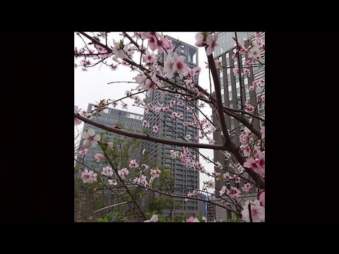 luther type beat - "le calme" preview