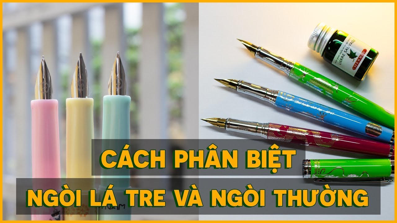 CÁCH PHÂN BIỆT NGÒI THƯỜNG VÀ NGÒI LÁ TRE G CALLIGRAPHY | PENPRO