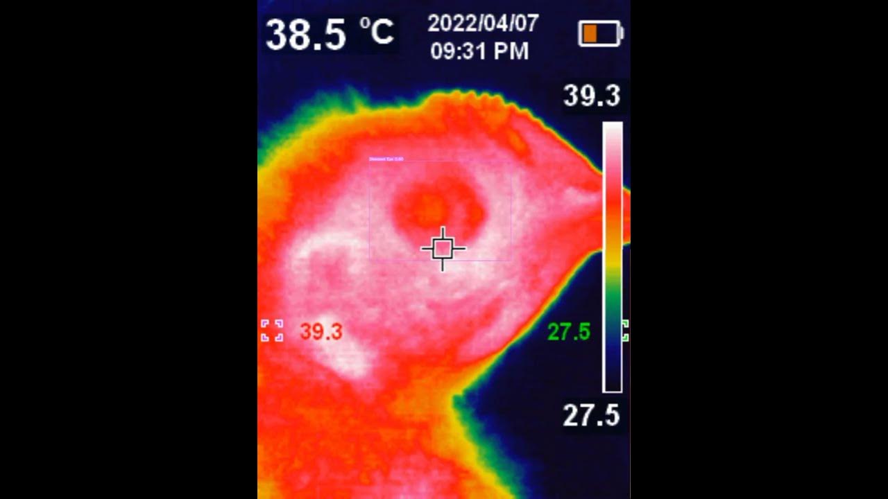 PythonObject Detection (Diseased Eye in Broiler thermal data) with