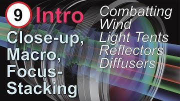 Macros in Wind and Light Tents: Close-up, and Focus Stacking, Part 9