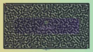 Maze Puzzle Challenge: Solve This Giant Maze in Under 60 Seconds