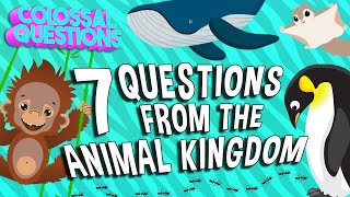 7 WILD Animal Facts Explained | COLOSSAL QUESTIONS