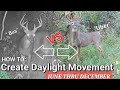 How To:  Create Daylight Movement on Whitetail Hunting Properties