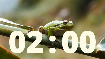 2 Minute Timer with Relaxing Rain Sounds and Alarm