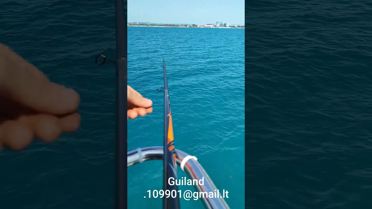 Guiland.109901@gmail.lt