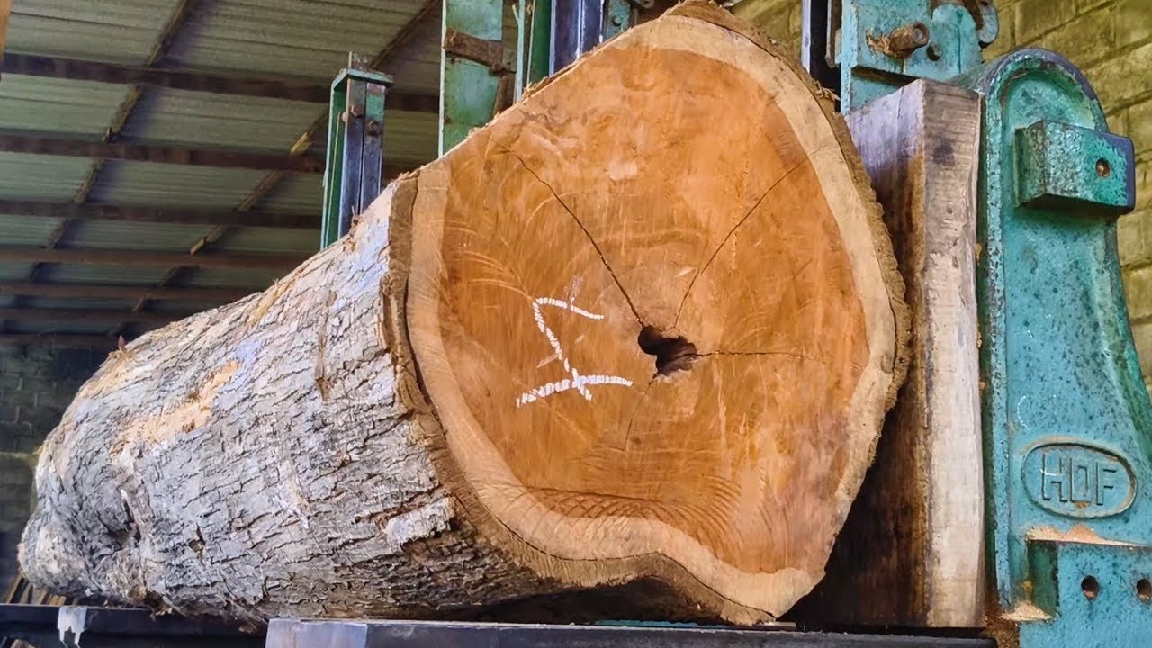 The amazing charm of the old grain behind the teak wood at the sawmill ...