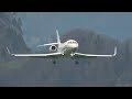 Bird strike while landing  dassault falcon 2000lx