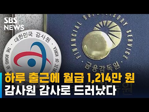 하루 출근에 1,214만 원 수령…금감원 정기감사 발표 / SBS