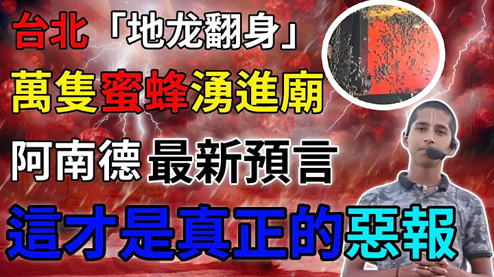 台北「地龙翻身」！万只蜜蜂涌进庙」！暴雨、狂风、雪纷飞！诡异火烧云曝不妙？阿南德表示：这才是真正的恶报！？#生肖 #风水 #运势 #财运 #生肖 #一禅语 #禅与佛心 - 天天要闻