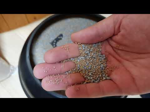 Lyman Cyclone Stainless Steel Rotary Case Tumbler: From Unboxing