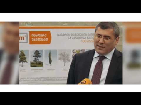 გამწვანების კიდევ ერთი ღონისძიება m²-ისგან