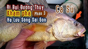 Giăng Câu Dính Cá Sủ Vàng l Khám Phá Hạ Lưu sông Sài Gòn l Phần 3