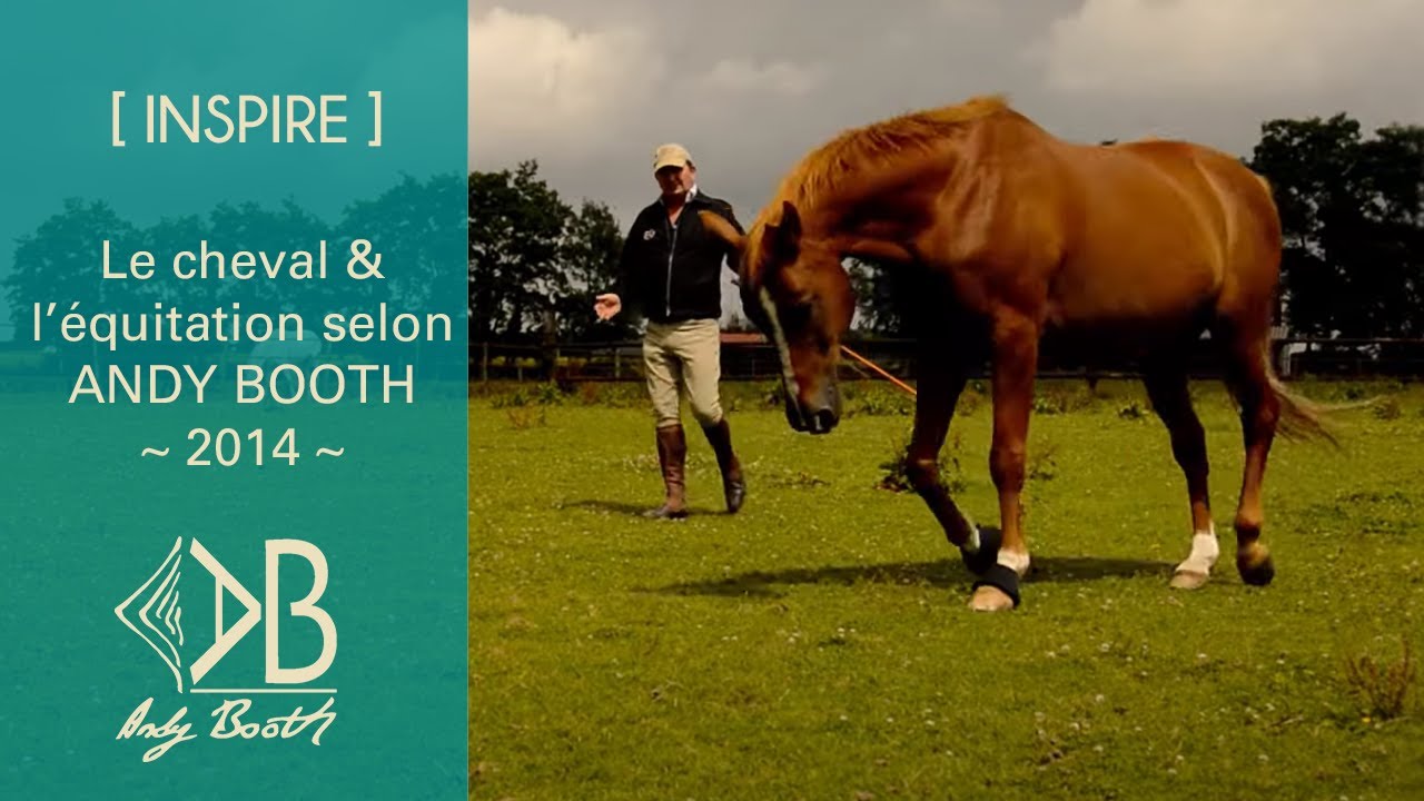 [ INSPIRE ] Le cheval et l'équitation selon Andy Booth - YouTube