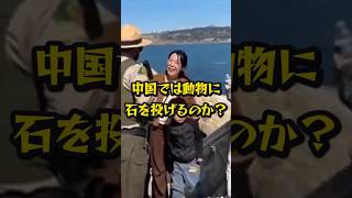 ㊗️240万再生!!観光客にレンジャー隊員がブチギレ…!!　#shorts