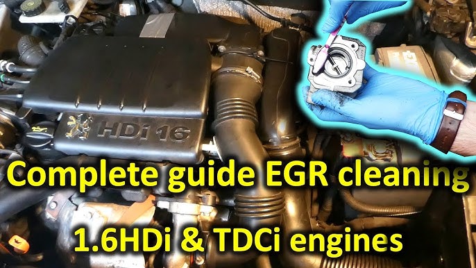 Supprimer l'EGR sur 1.6 Hdi - Peritus