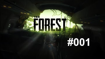 Let´s Play The Forest #001 ✘Co-op Multiplayer neuer Patch 0.09 ✘
