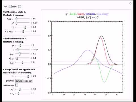 Quantum Dynamics in 1D