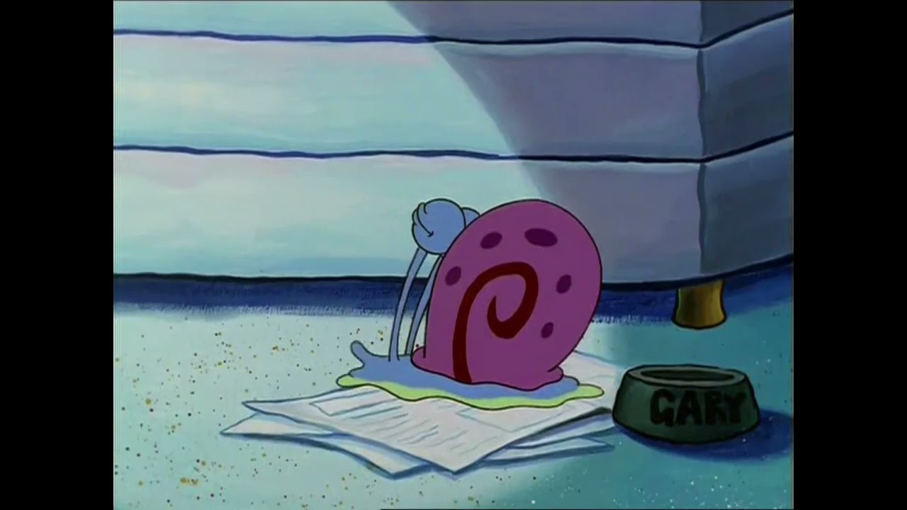 Zillow Rovket 1116 V2 Gary Sleeping for 10 Minutes