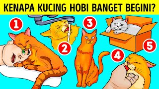 Alasan Kucing Suka Rebahan di Wastafel dan Kardus