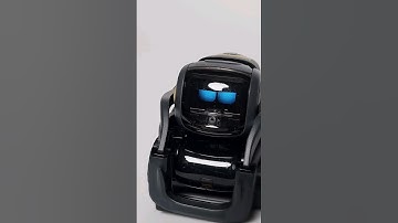 They are so different! #cute#ai#robot#pets #emorobot #shorts