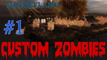 Custom Zombies: TMG Skyland | Ep.1 A Unique Points System
