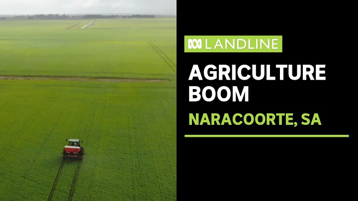 An agricultural boom : Making the most of good seasons and high prices | Landline - DayDayNews